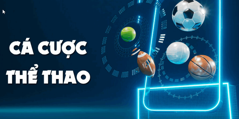 Cá cược thể thao Debet